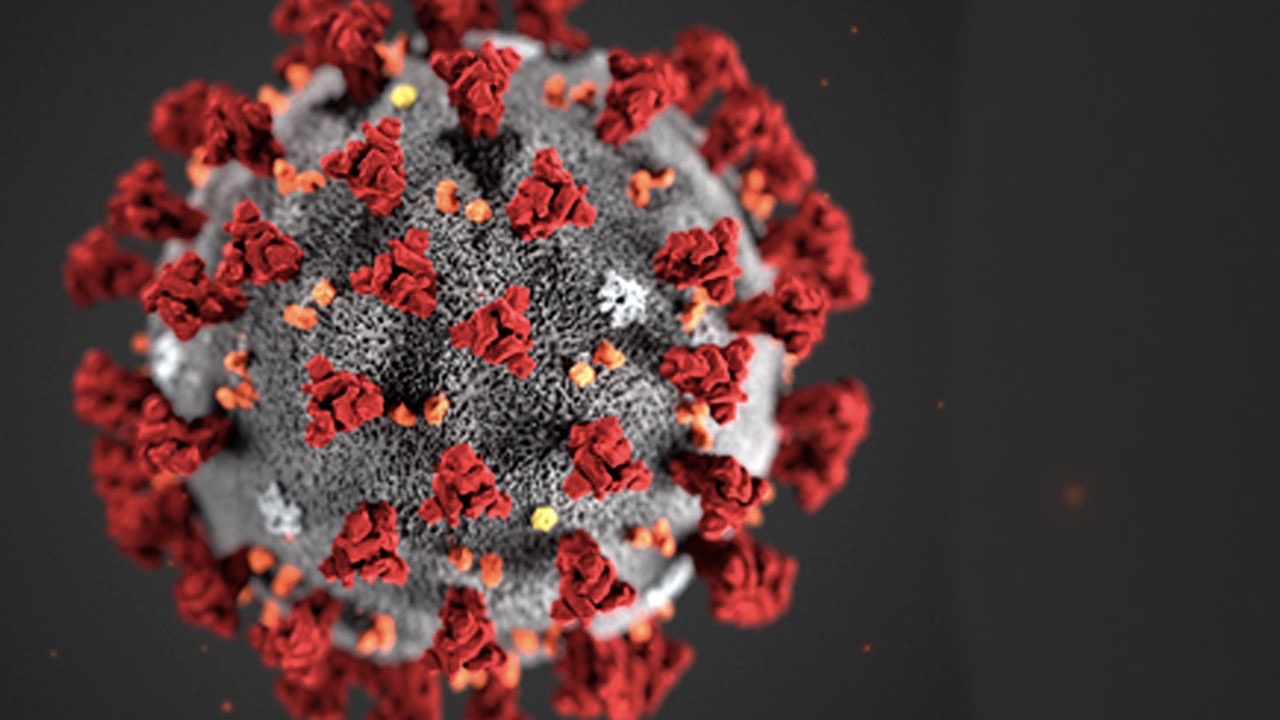 Corona Virus and force majeure