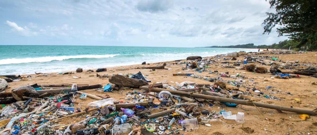 An ocean of opportunities