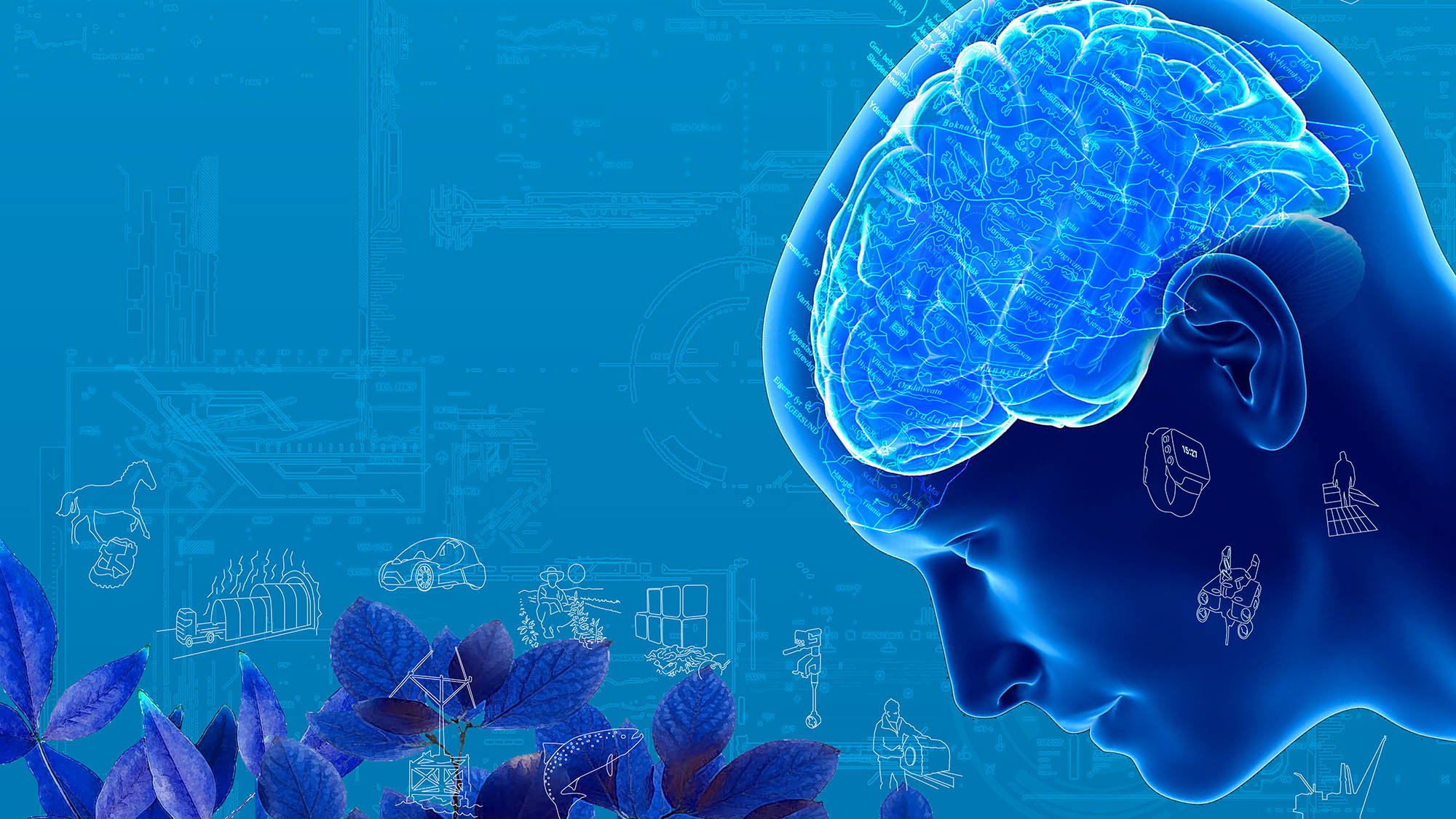 Rogaland på innovasjonstoppen