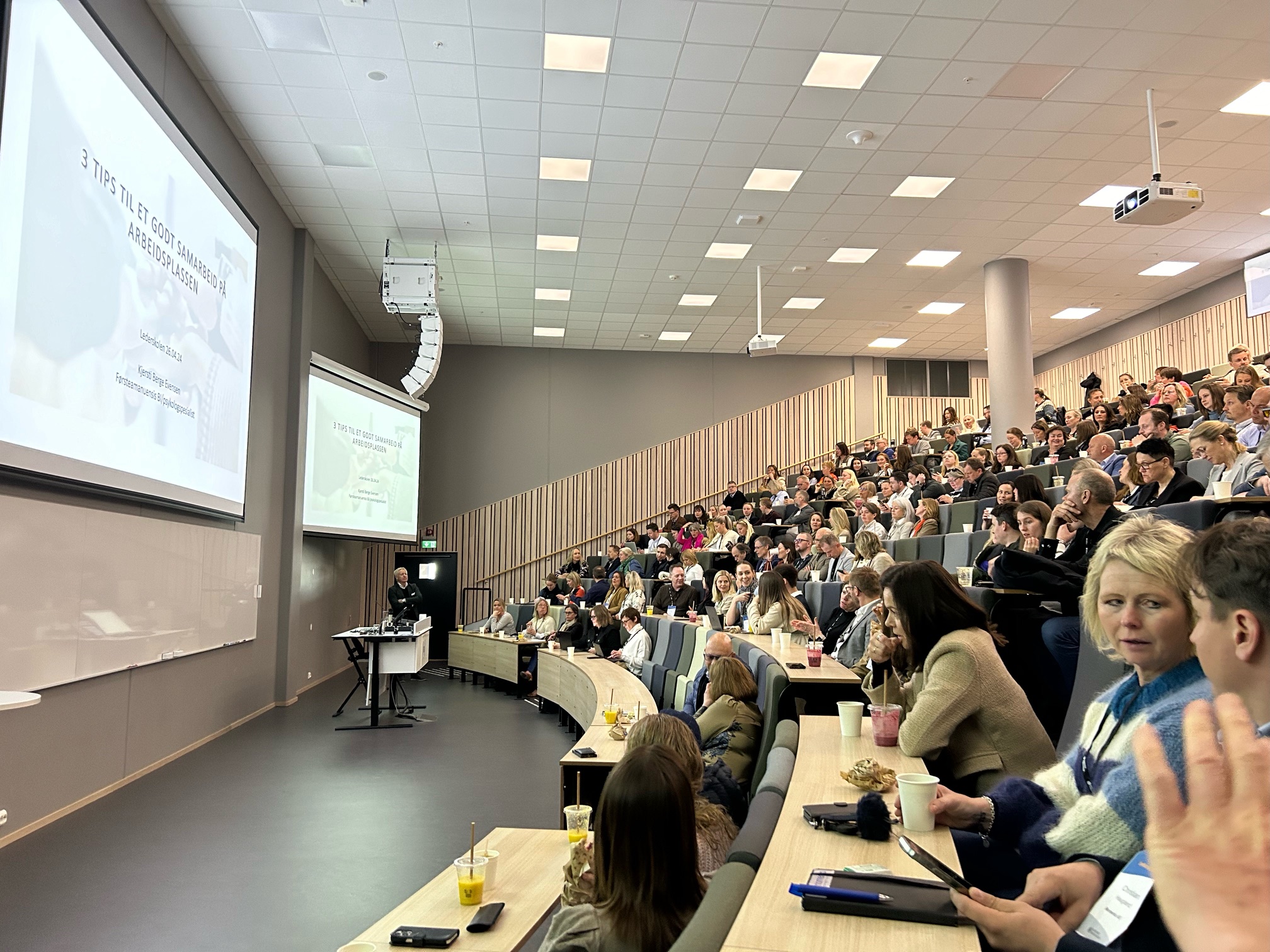 Lederskolen: Tips til bedre samarbeid