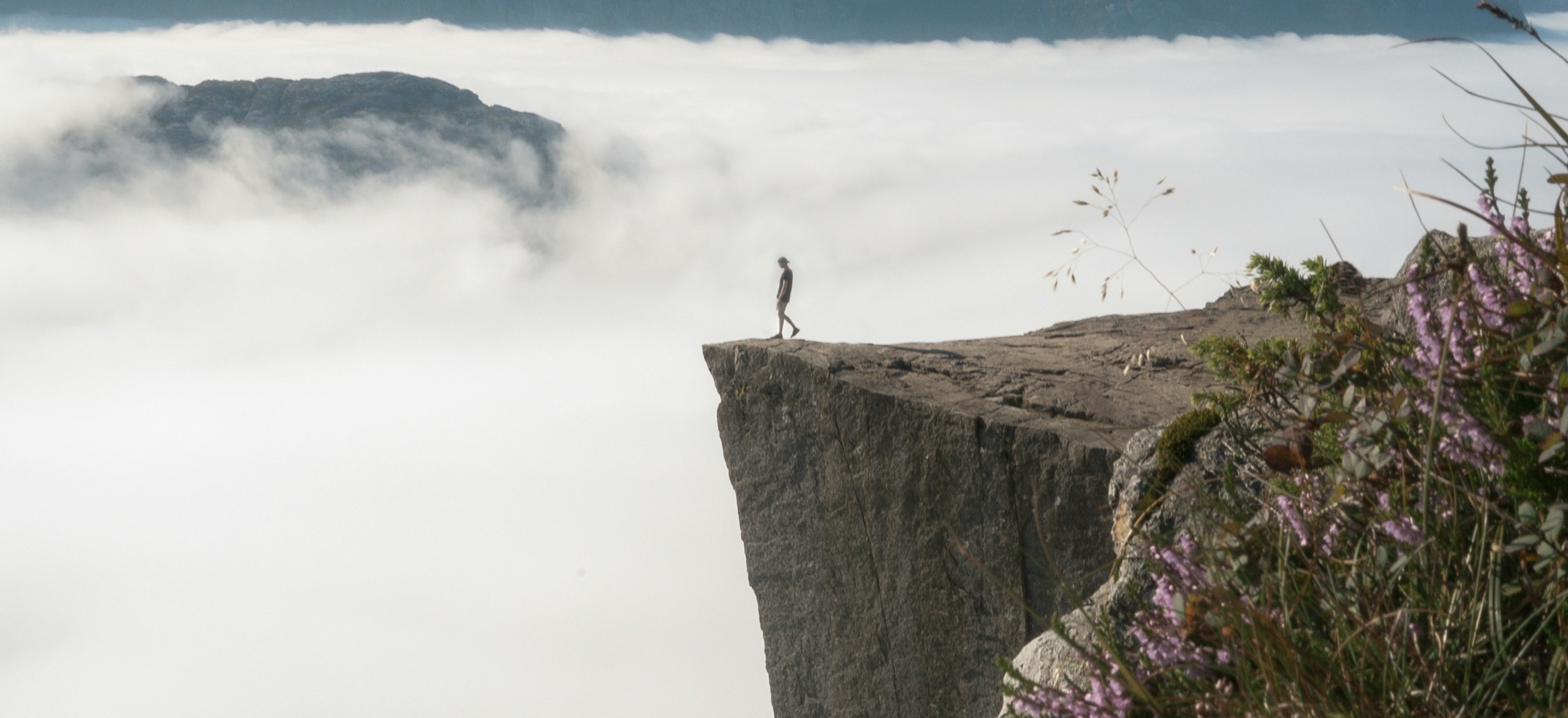 Stepping into Spring