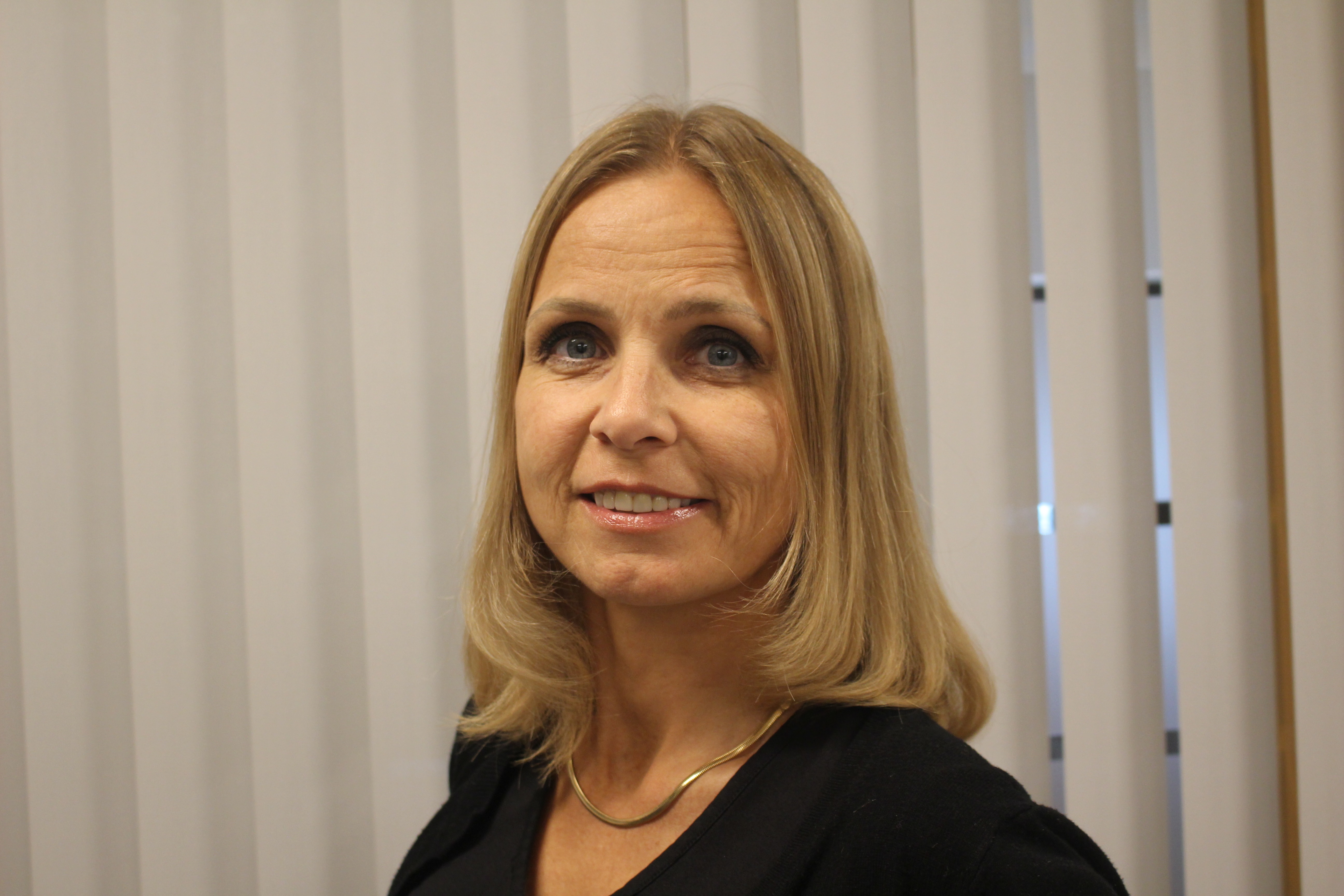 Lise Imsland Wathne - Dataplan