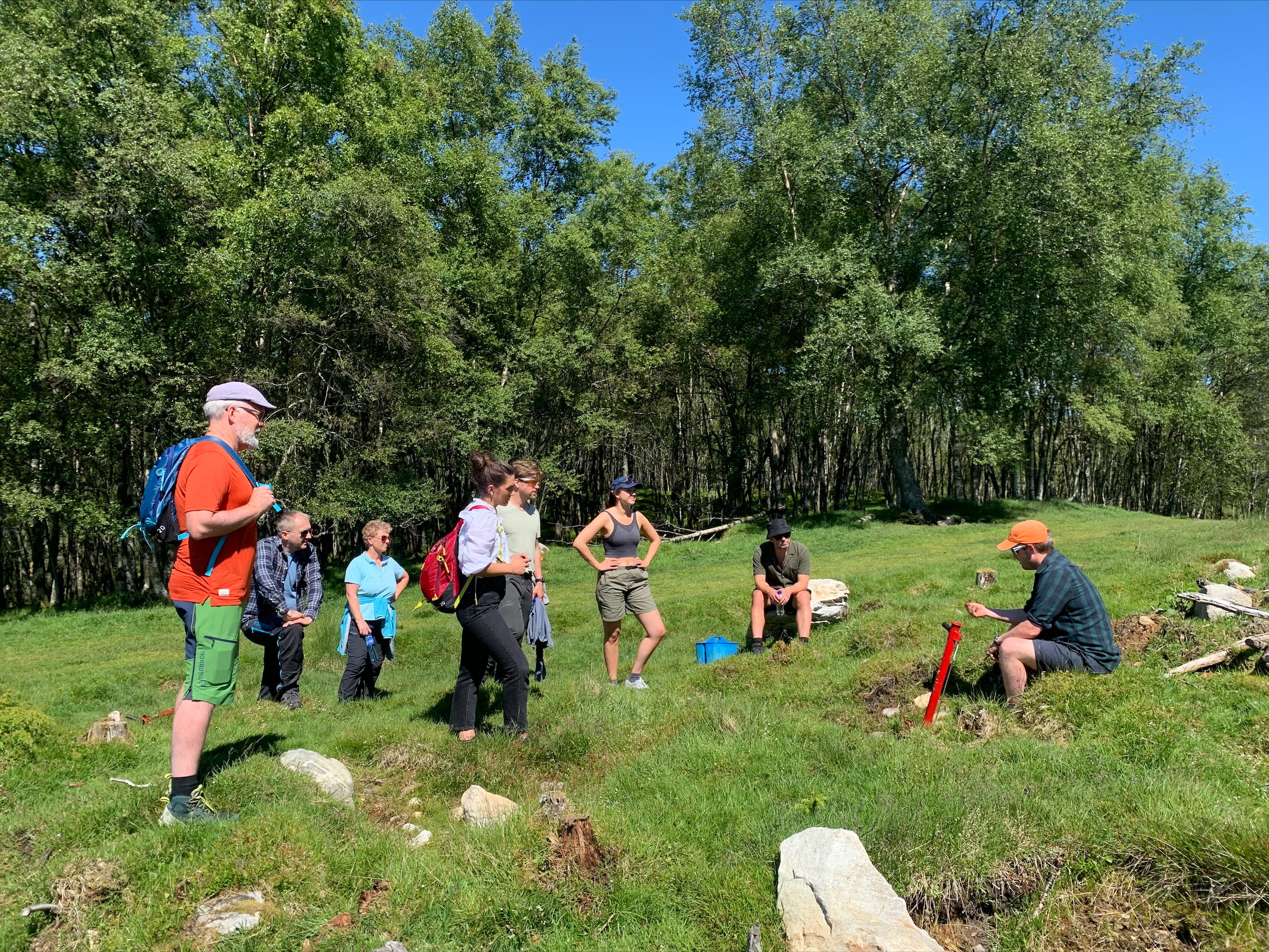 Stort potensiale for klimaskog i Rogaland